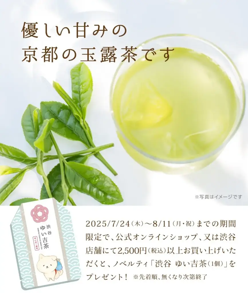 渋谷 ゆい吉茶